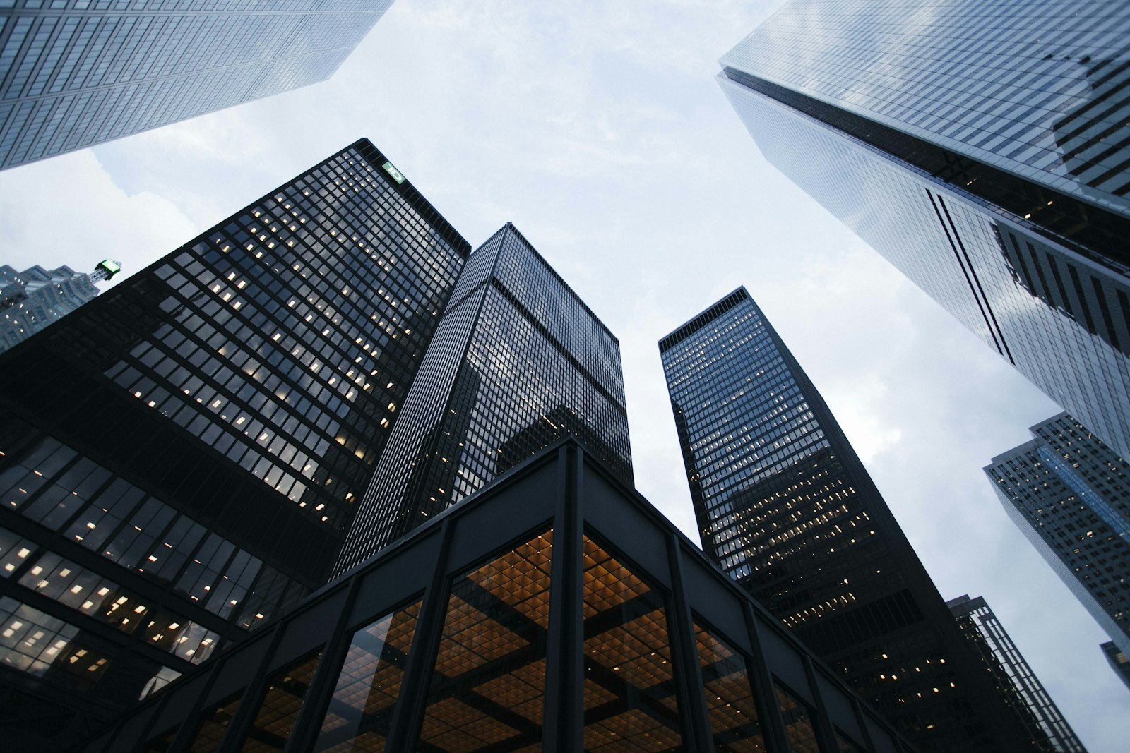 Architectural Vision Meets Lasting Structural Durability